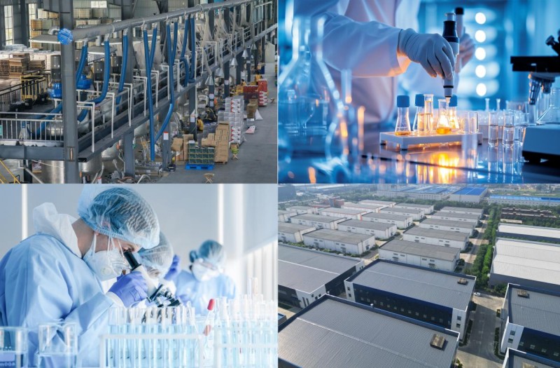 中瓷美缝剂：以卓越标准护航装修细节，凭权威认证定义家居美学